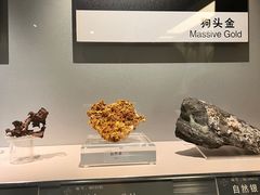 -中国地质博物馆
