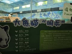 -柳州市动物园