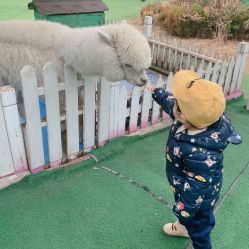 -萌宠亲子动物乐园(槐房万达店)