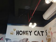-猫爷宠物生活馆·撸猫馆