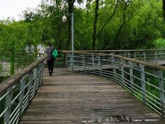 -西湖风景区-江洋畈生态公园
