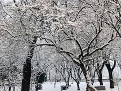 -中国政法大学(昌平校区)