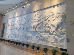 -安徽省地质博物馆