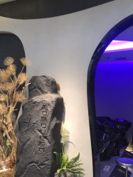 -TOP HAIR SALON