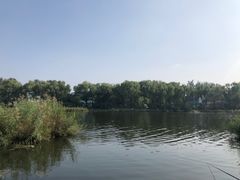 -亲兄弟真人CS团建拓展基地