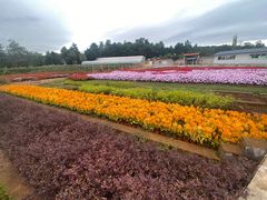 -昆明春城湖畔度假村