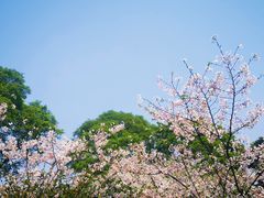 -南山植物园