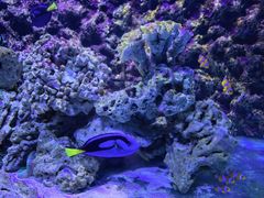 -北戴河圣蓝海洋公园