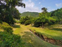 -东莞市大岭山森林公园