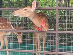 -珠海海泉湾神秘岛亲子乐园