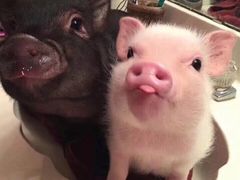 -世纪联华超市(金华双龙店)