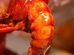 -霸王虾·麻辣小龙虾(清水河公园店)