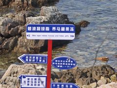 -养马岛旅游度假区