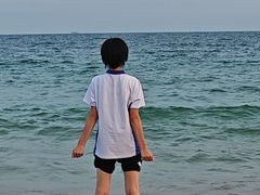 -五谷芳乳鸽王(海景店)