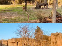 -杭州野生动物世界