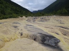 -黄龙山原始森林景区