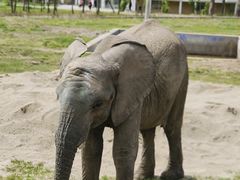 -哈尔滨北方森林动物园