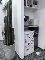 -飞梵造型
