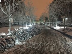 -同济大学(嘉定校区)