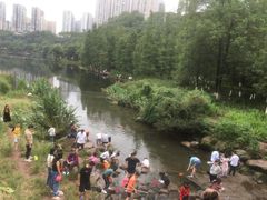 -重庆彩云湖湿地公园