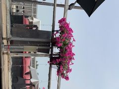 -EATALIA意塔利意式餐厅(鼓楼店)