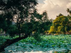 -承德避暑山庄景区