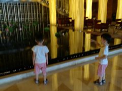 -The Lounge大堂酒廊·咖啡·沙拉·下午茶(金茂深圳JW万豪酒店)