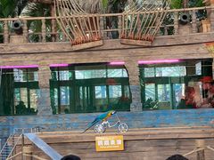 -南宫五洲植物乐园