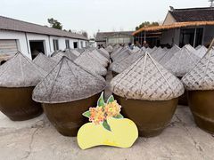 -苏州市吴中区光福窑上花果蜜饯厂