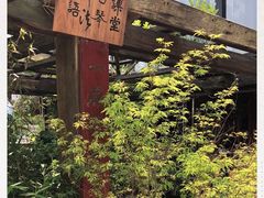-菩提书坊(侨福大厦店)