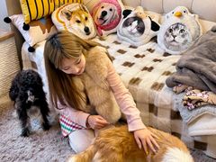 -南京宠物基地·宠物狗宠物猫售卖(南京店)