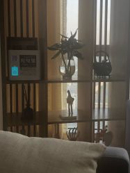 -松和日式美容整骨