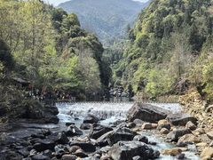 -石台牯牛降景区