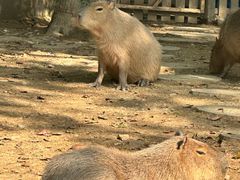 -宁波野生动物园