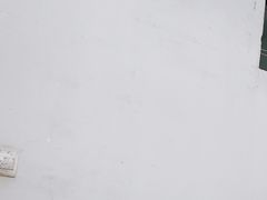 -刘胖子家常菜·蹄花焖藕(兴业店)