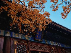 -香山公园