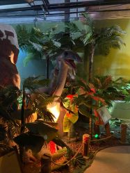 -恐龙探索乐园(磁器口店)