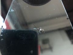 -鲨鱼皮汽车凹陷玻璃修复(静安店)