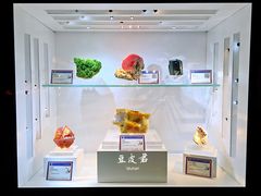 景点-中国地质大学逸夫博物馆