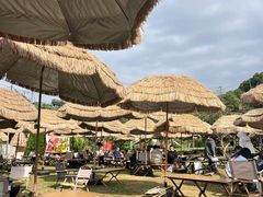 -桃源山庄·水蜜桃采摘·柴火鸡·烧烤团建(龙泉山店)