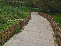 -莲花池公园