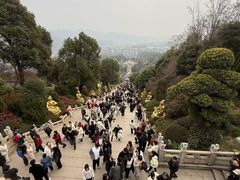 -庐山风景名胜区-东林大佛