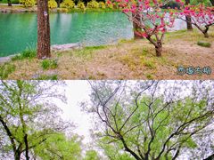 -颐和园