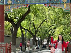 -北京国子监胡同