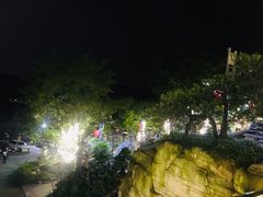 -老幺泉水鸡