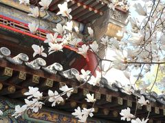 -潭柘寺景区