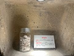-广东中医药博物馆