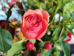 -HAPPEN(江川东路店)