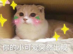 -AMG海上明珠影城(上海环球港RealDCinema店)