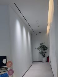 -玛莲朵·海菲秀冰珀科